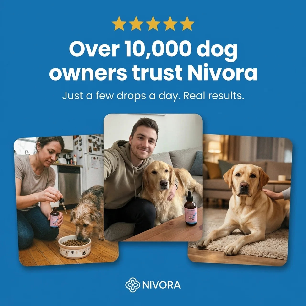 Nivora | Restore Your Dog's Digestive Calm
