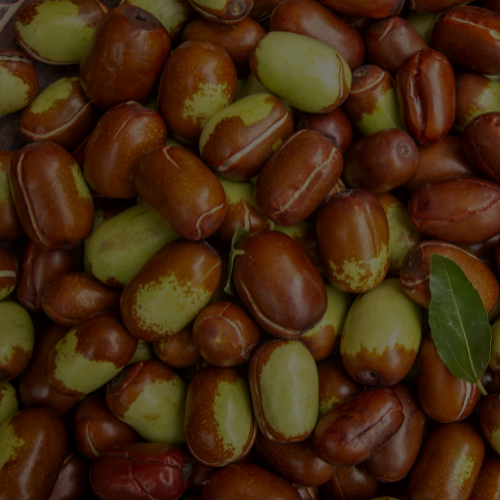 Aceite de jojoba