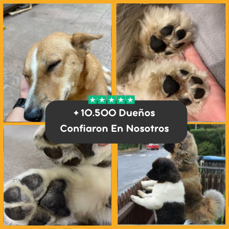 TrimiPet™ Cortador Seguro Sin Estrés