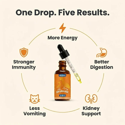 FeliBiome | Heal the Gut. Get Your Cat Back.