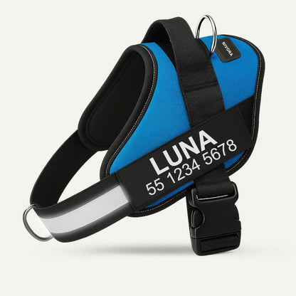 Arnés Nivora azul