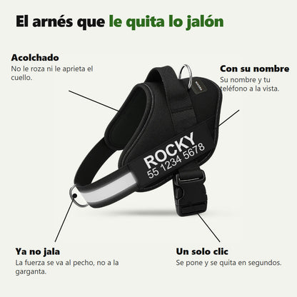 Características del arnés Nivora