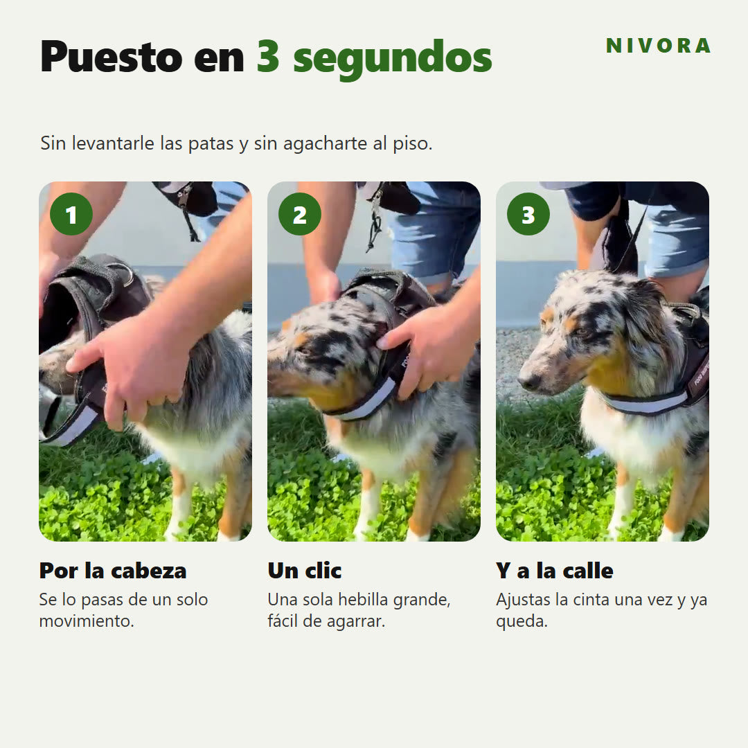 El arnés Nivora se pone en 3 segundos