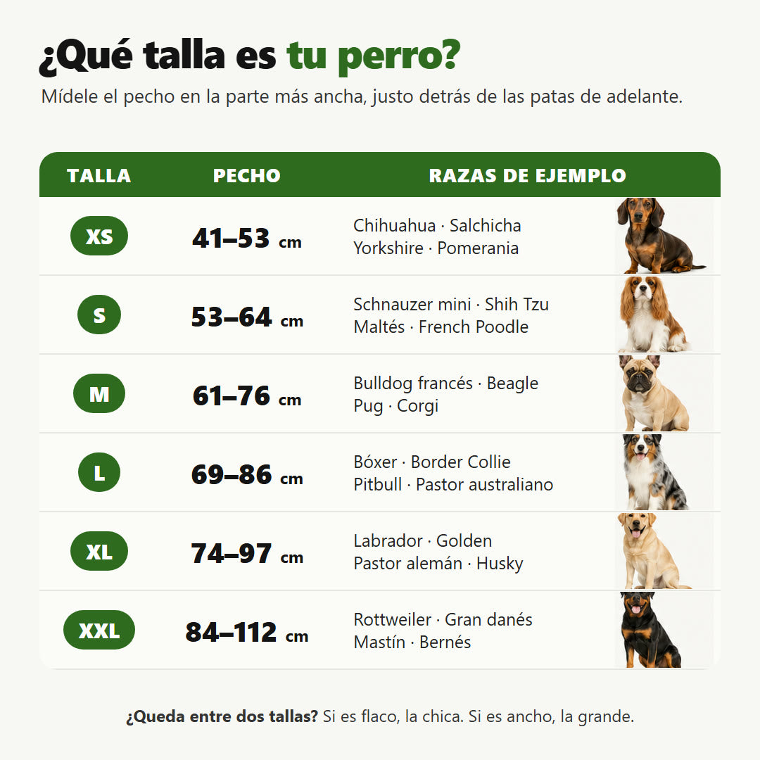 Guía de tallas del arnés Nivora en centímetros