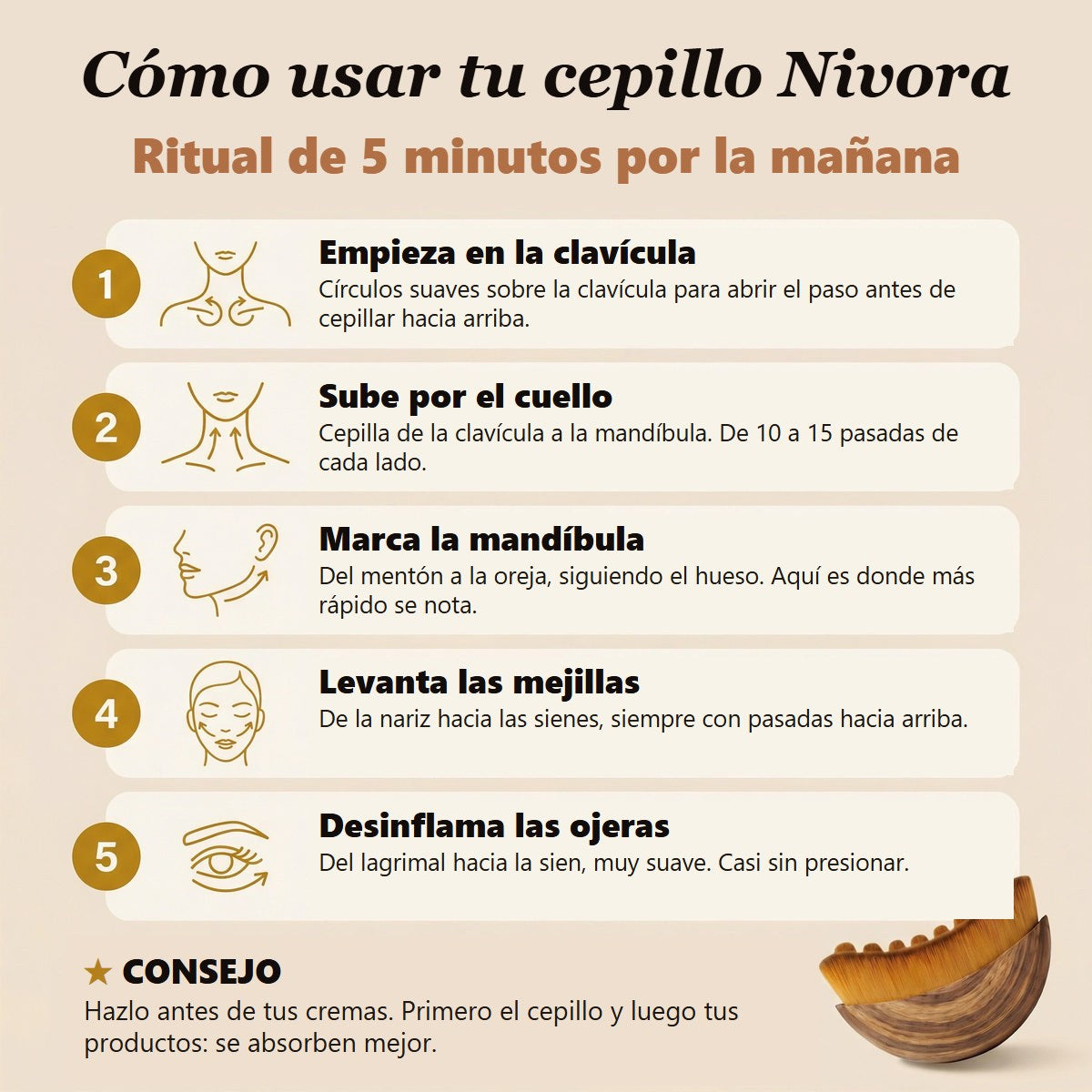 Cómo usar tu cepillo Nivora en 5 pasos