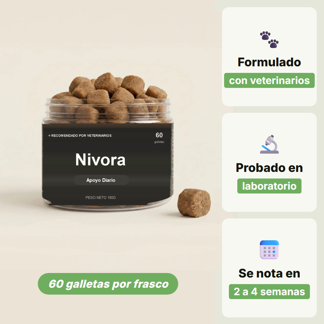 Frasco de galletas Nivora, 60 galletas