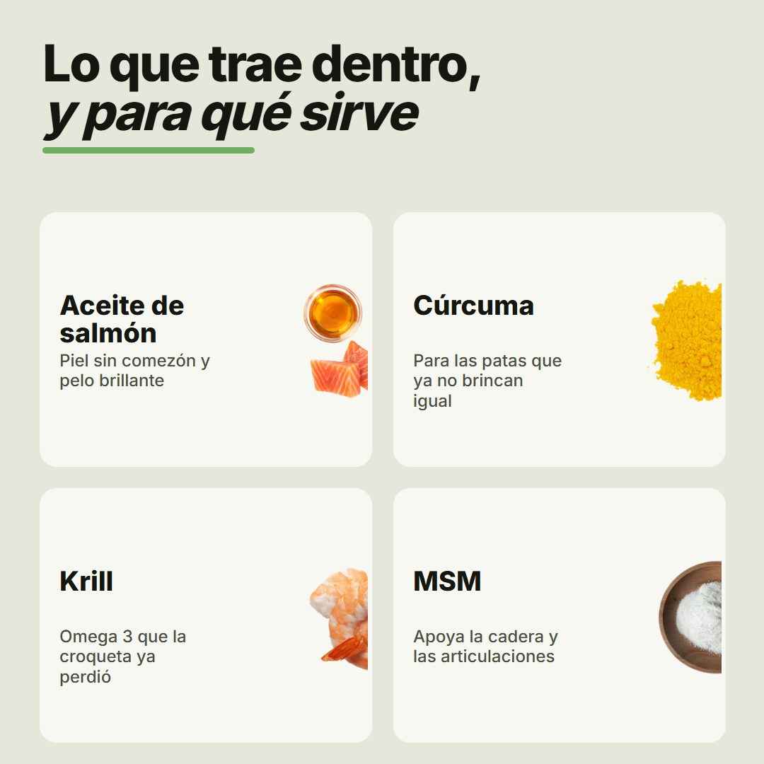 Ingredientes de las galletas