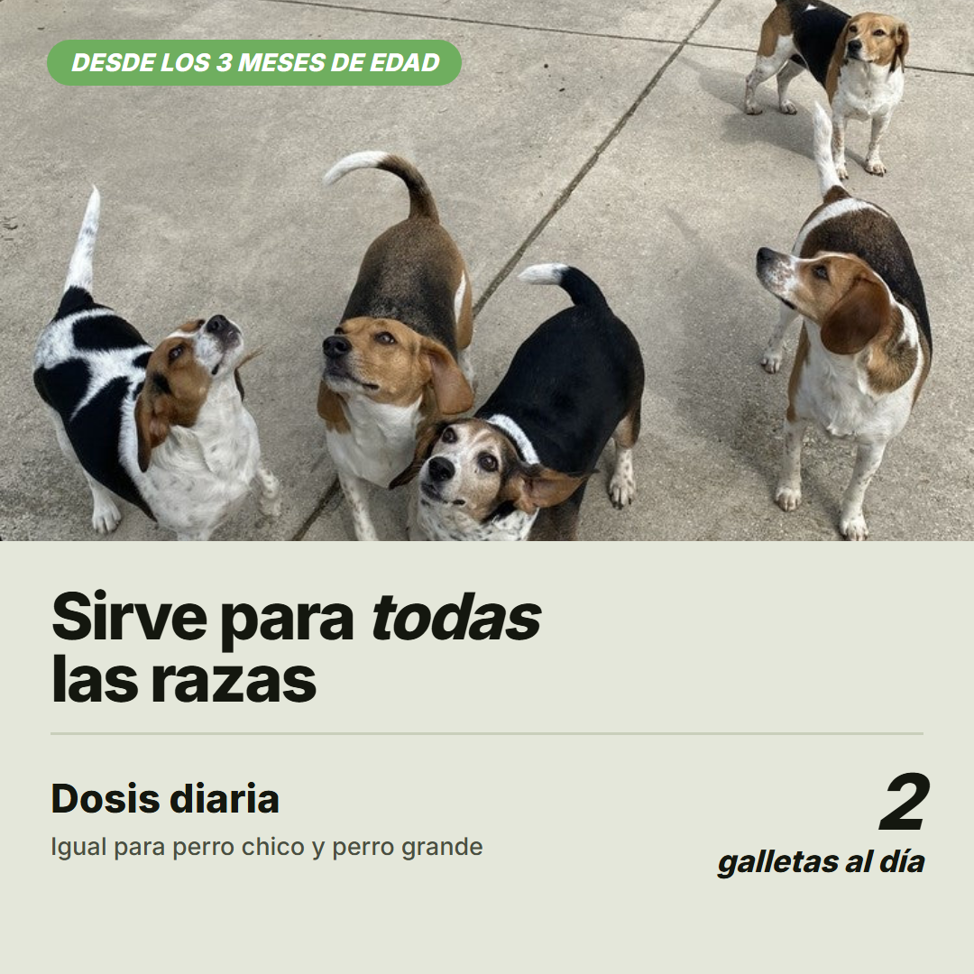 Sirve para todas las razas, dos galletas al dia