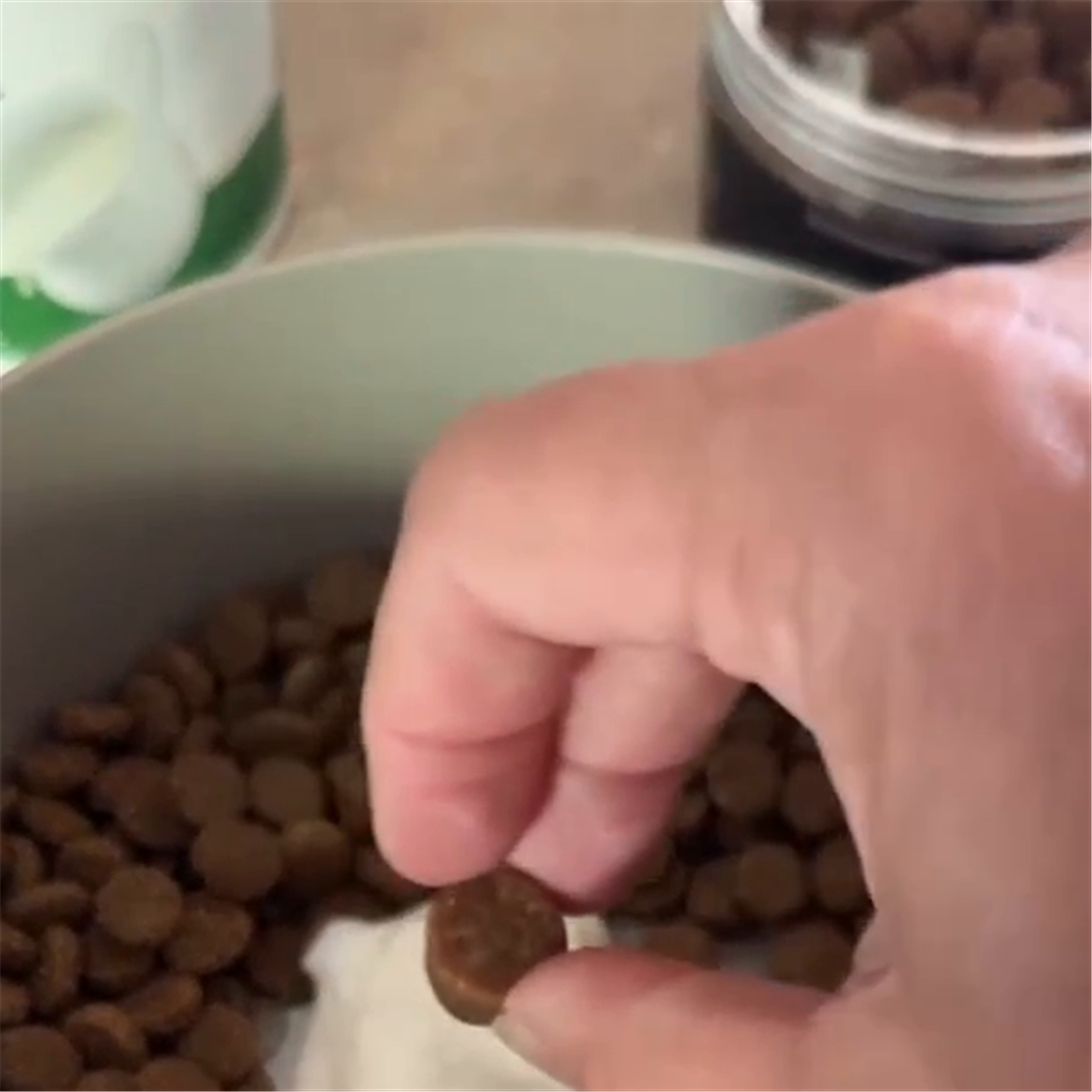 Galleta Nivora en el plato de croquetas