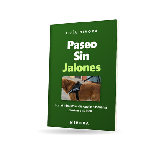 Guía Nivora Paseo Sin Jalones