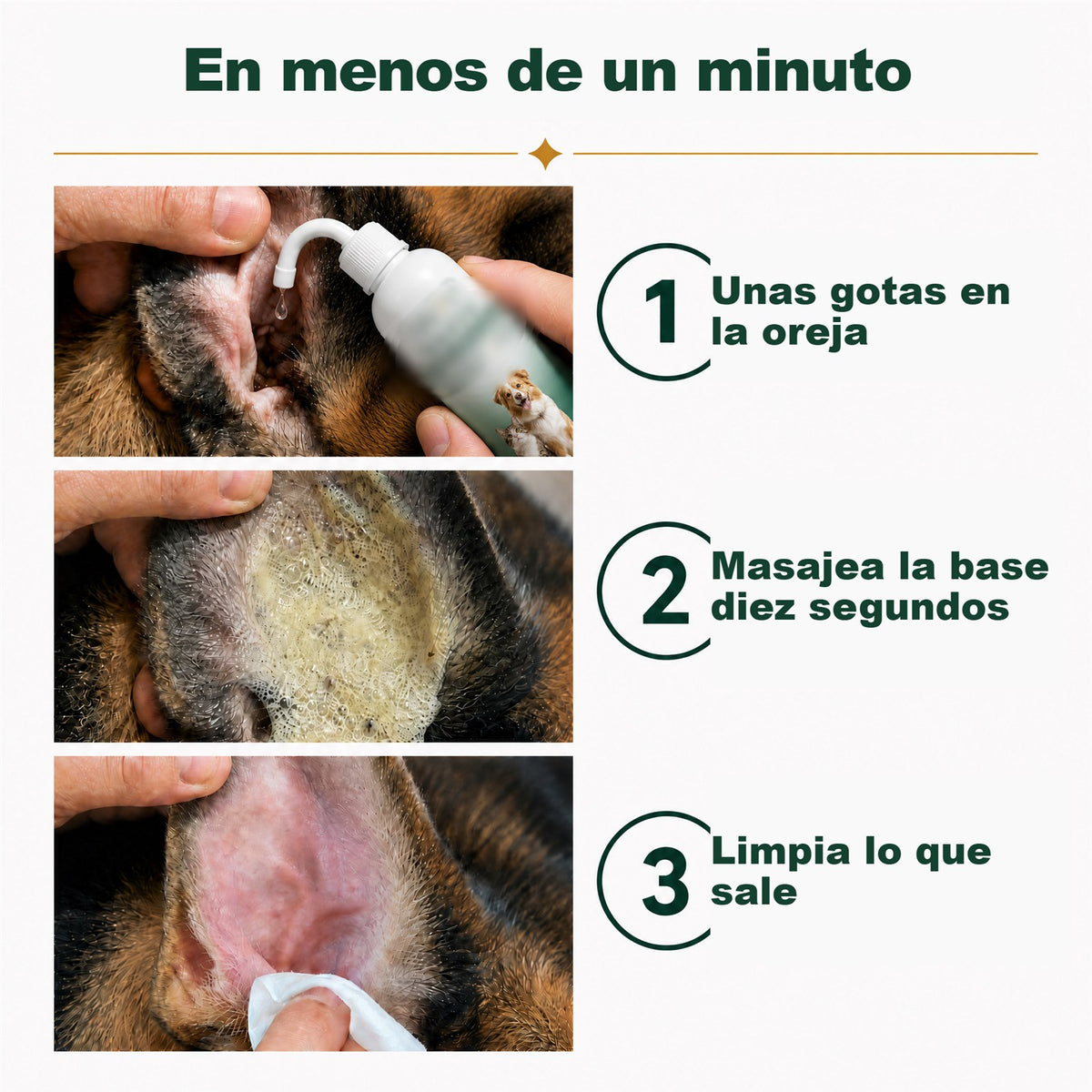 Cómo se usa en menos de un minuto
