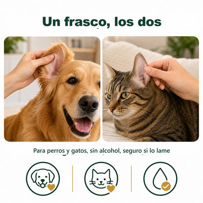 Un frasco para el perro y para el gato